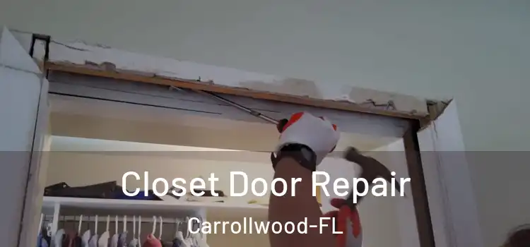  Closet Door Repair Carrollwood-FL