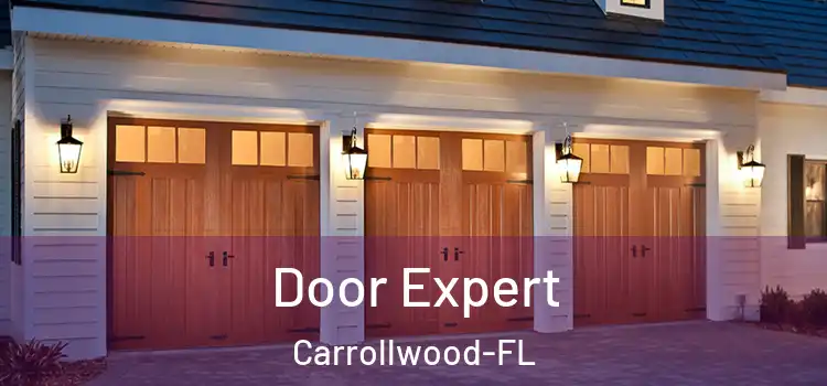  Door Expert Carrollwood-FL