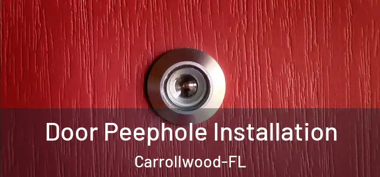  Door Peephole Installation Carrollwood-FL