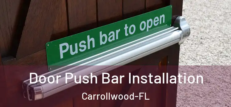  Door Push Bar Installation Carrollwood-FL