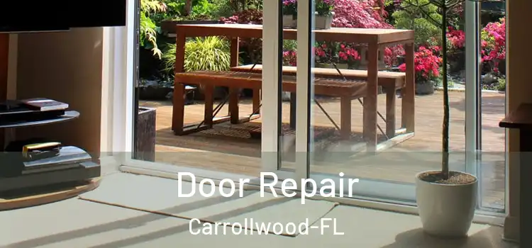  Door Repair Carrollwood-FL