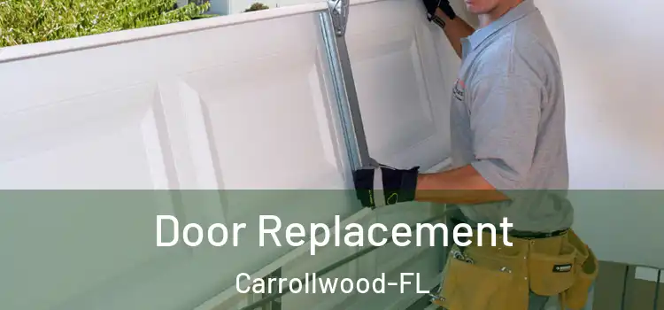  Door Replacement Carrollwood-FL