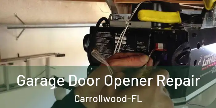 Garage Door Opener Repair Carrollwood-FL