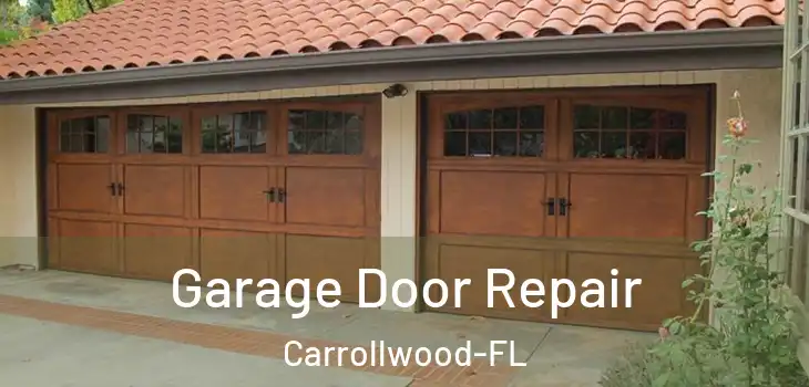  Garage Door Repair Carrollwood-FL