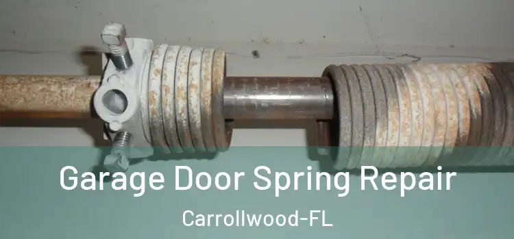  Garage Door Spring Repair Carrollwood-FL