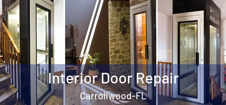  Interior Door Repair Carrollwood-FL