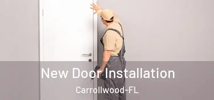  New Door Installation Carrollwood-FL