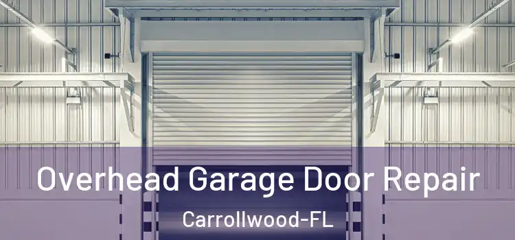 Overhead Garage Door Repair Carrollwood-FL