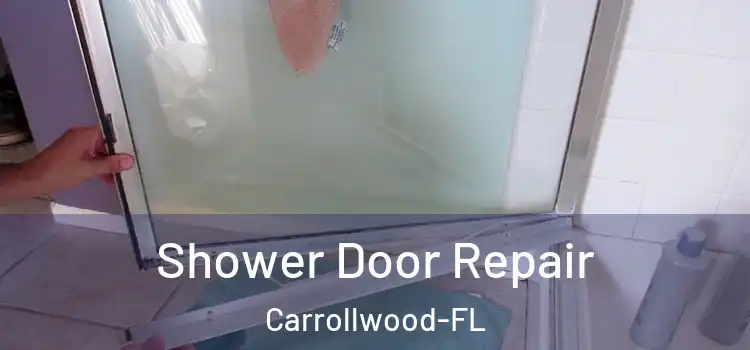 Shower Door Repair Carrollwood-FL